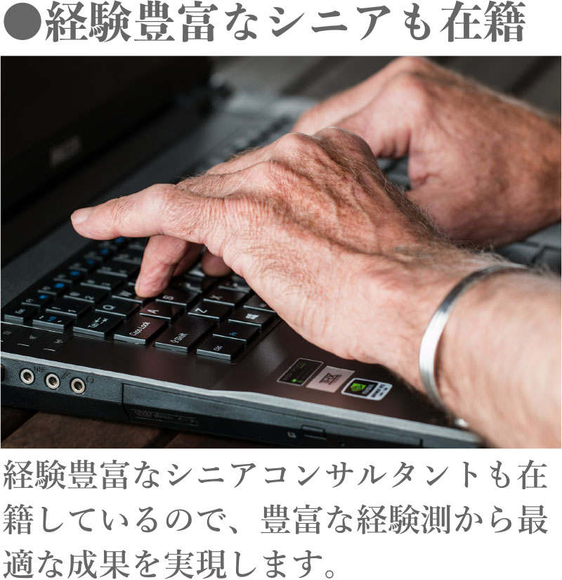 経験豊富なシニアも在籍
経験豊富なシニアコンサルタントも在籍しているので、豊富な経験則から最適な成果を実現します。
