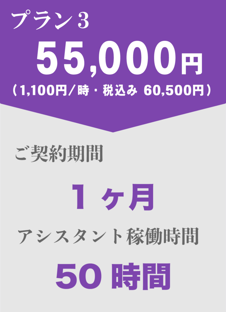 一般事務代行プラン3料金